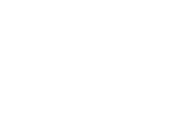VODAFONE-ZIGGO wit