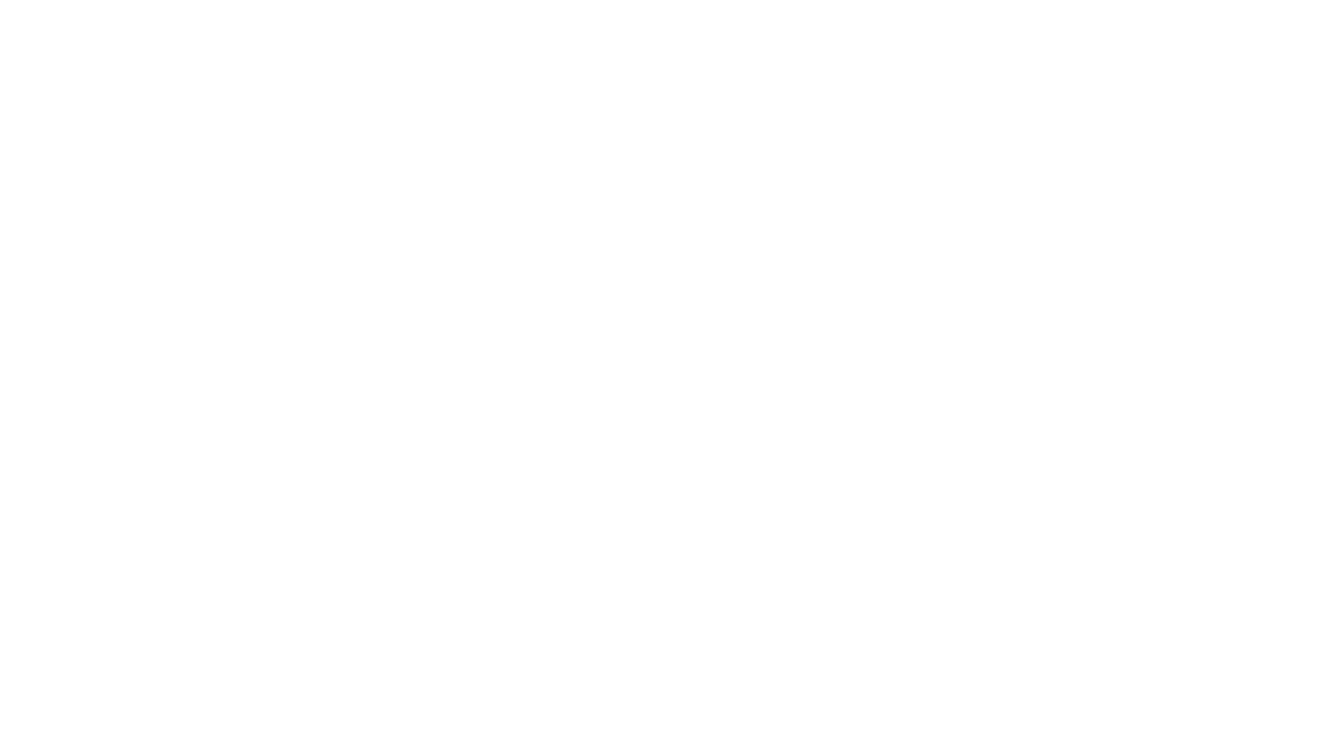 Visma_logo_Wite