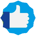 feedback