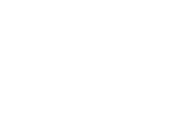 ZIGGO wit